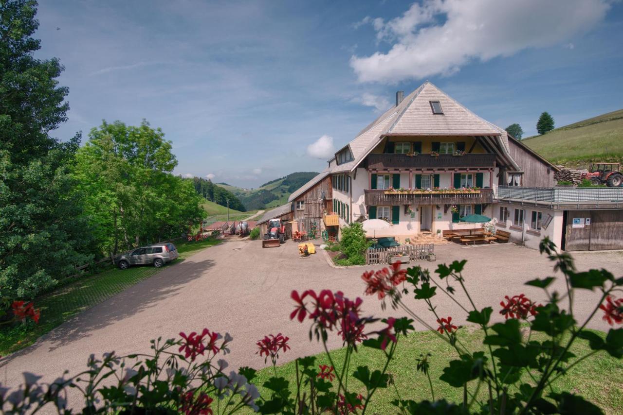 Mittlerer Itzenwaldhof - Heimkehr Apartman Münstertal Kültér fotó