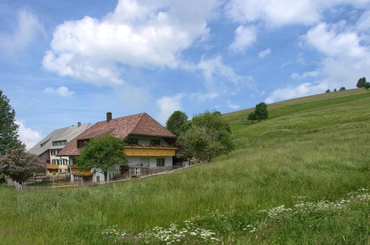 Mittlerer Itzenwaldhof - Heimkehr Apartman Münstertal Kültér fotó