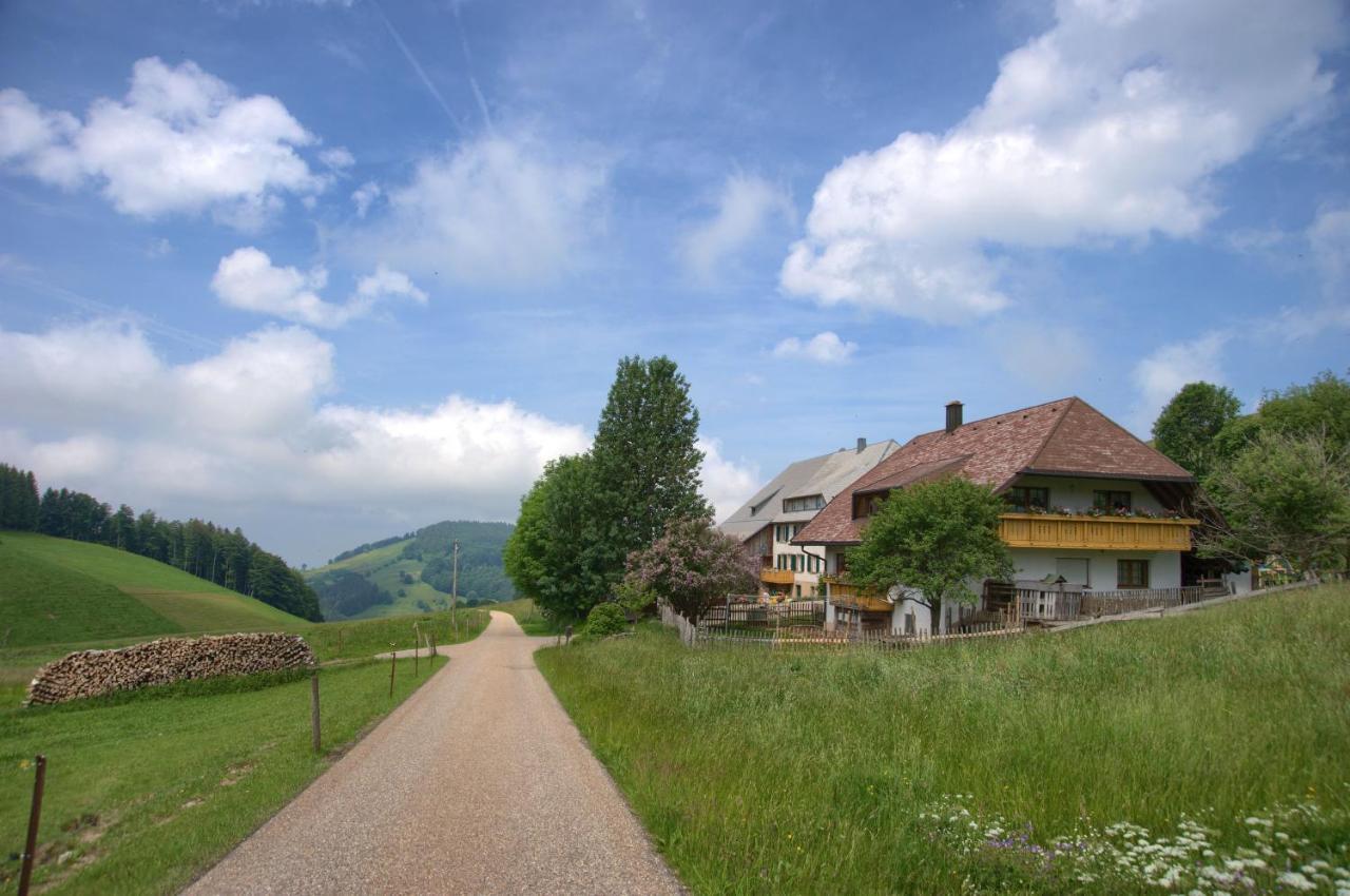 Mittlerer Itzenwaldhof - Heimkehr Apartman Münstertal Kültér fotó